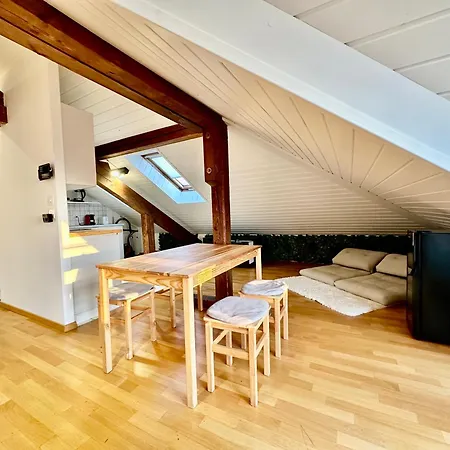 Cosy Roof Flat Close Lausanne Center - Es Apartament *