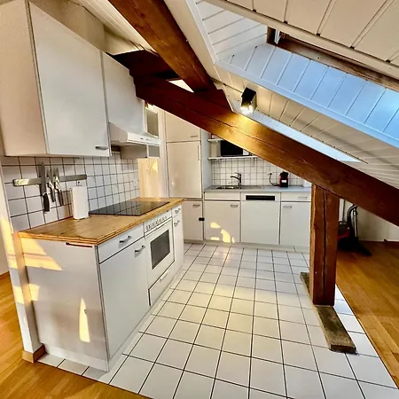 Cosy Roof Flat Close Lausanne Center - Es Apartament Prilly