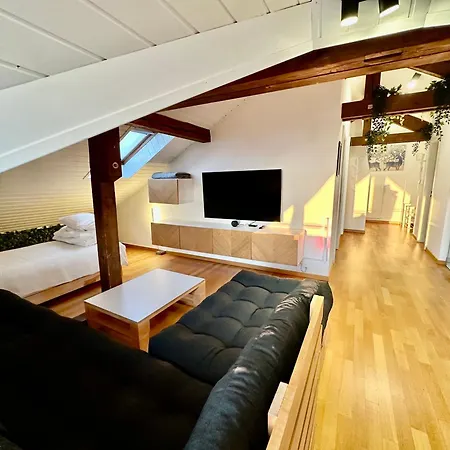 Διαμέρισμα Cosy Roof Flat Close Lausanne Center - Es *