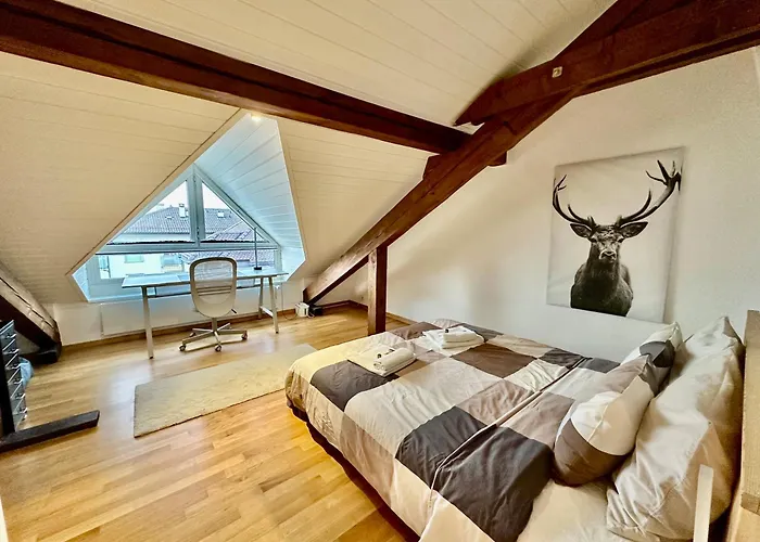 Cosy Roof Flat Close Lausanne Center - Es Apartament