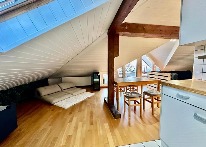 Cosy Roof Flat Close Lausanne Center - Es Apartament *