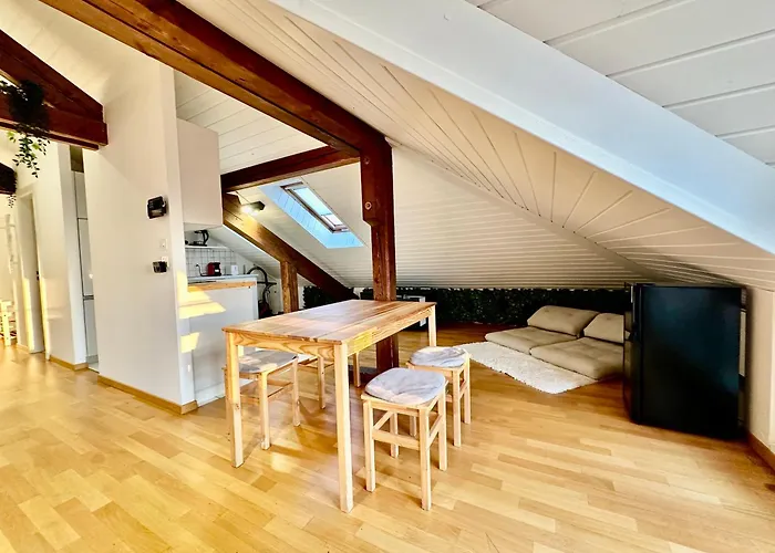 Cosy Roof Flat Close Lausanne Center - Es Apartament *