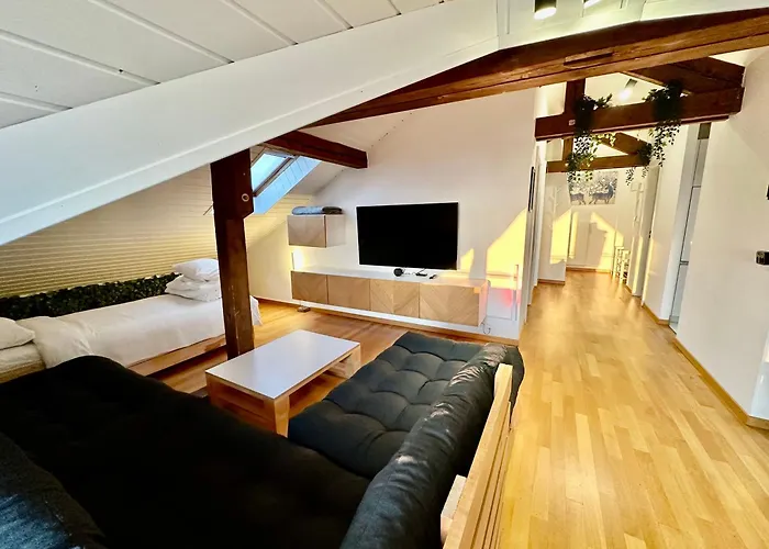 Apartament Cosy Roof Flat Close Lausanne Center - Es *