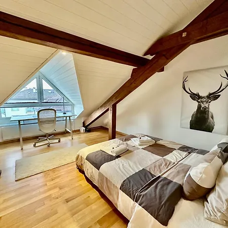Cosy Roof Flat Close Lausanne Center - Es Lejlighed